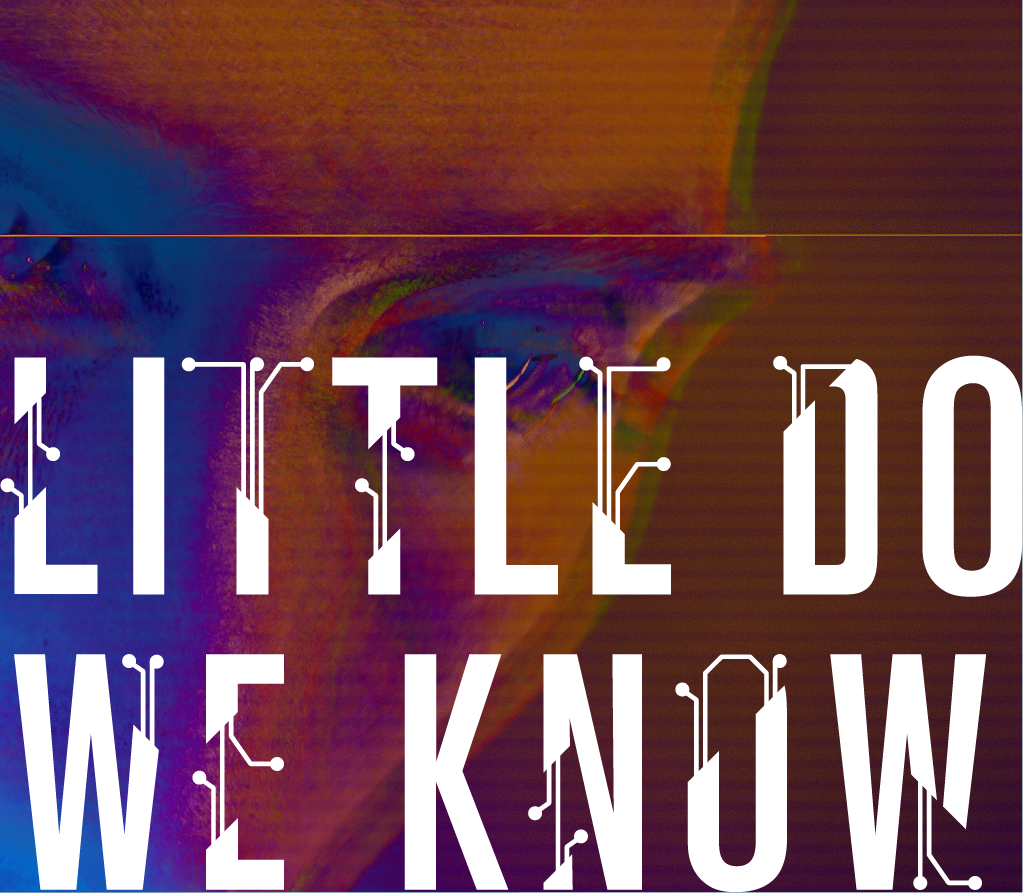 MFA Thesis: Little Do We Know